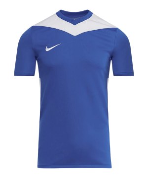 nike-park-derby-iv-trikot-blau-f463-fd7430-teamsport_front.png