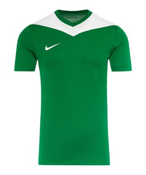 nike-park-derby-iv-trikot-gruen-f302-fd7430-teamsport_front.png