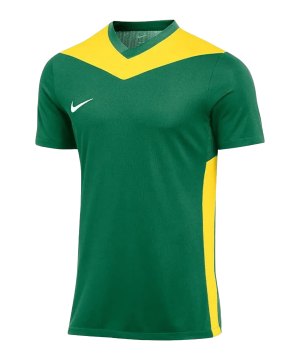nike-park-derby-iv-trikot-kids-gruen-gelb-f303-fd7438-teamsport_front.png