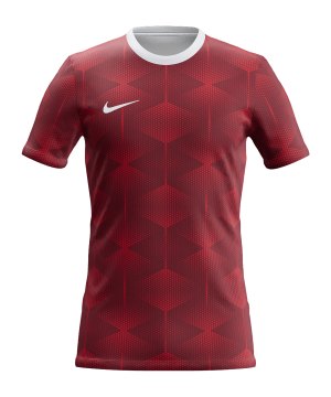 nike-park-fly-trikot-rot-f600-iu3464fly-teamsport_front.png