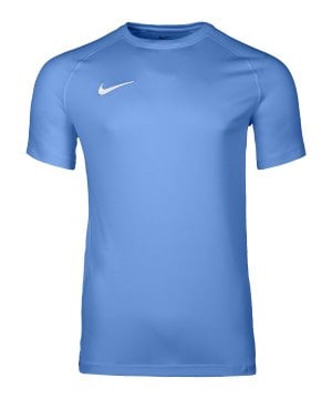 nike-park-viii-trikot-blau-f412-hv8173-teamsport_front.png
