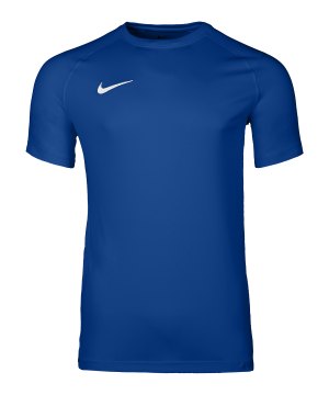nike-park-viii-trikot-blau-f463-hv8173-teamsport_front.png