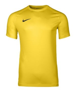 nike-park-viii-trikot-gelb-f719-hv8173-teamsport_front.png