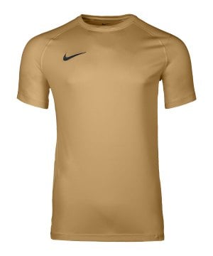 nike-park-viii-trikot-gold-f729-hv8173-teamsport_front.png