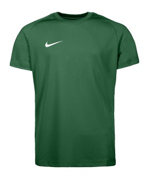 nike-park-viii-trikot-kids-gruen-f302-hv8182-teamsport_front.png
