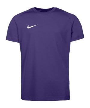 nike-park-viii-trikot-kids-lila-f547-hv8182-teamsport_front.png