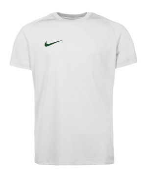 nike-park-viii-trikot-kids-weiss-f102-hv8182-teamsport_front.png