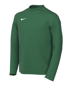 nike-park-viii-trikot-langarm-kids-gruen-f302-hv8239-teamsport_front.png
