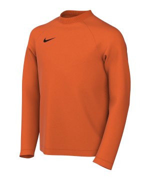 nike-park-viii-trikot-langarm-kids-orange-f819-hv8239-teamsport_front.png