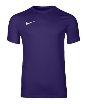 nike-park-viii-trikot-lila-f547-hv8173-teamsport_front.png