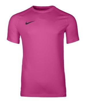 nike-park-viii-trikot-pink-f616-hv8173-teamsport_front.png