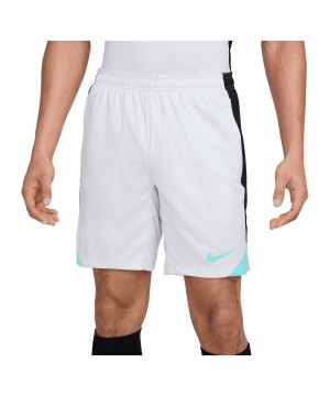 nike-strike-short-grau-f025-fn2401-fussballtextilien_front.png