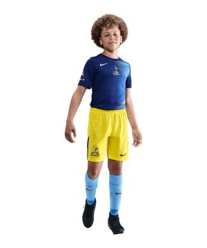 nike-tottenham-hotspur-short-3rd-2025-2026-k-f740-hm4133-fan-shop_front.png