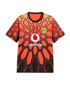 puma-borussia-dortmund-torwarttrikot-orange-f70-786174-fan-shop_front.png
