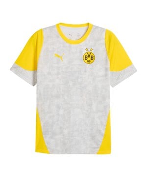 puma-borussia-dortmund-trainingshirt-grau-f18-781665-fan-shop_front.png