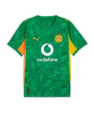 puma-bvb-ss-torwarttrikot-25-26-gruen-f98-946434-fan-shop_front.png