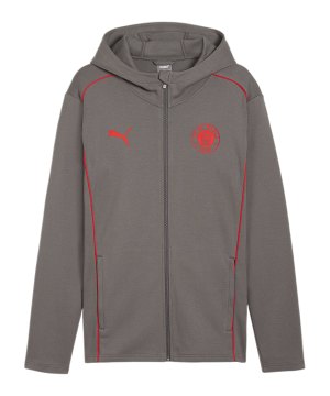 puma-fc-st-pauli-casual-kapuzenjacke-grau-f06-778731-fan-shop_front.png