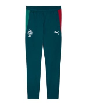 puma-fpf-portugal-trainingshose-blau-f15-784780-fan-shop_front.png