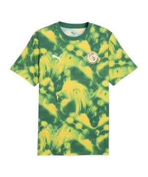 puma-fsf-senegal-ftblculture-aop-t-shirt-gruen-f20-784751-fan-shop_front.png