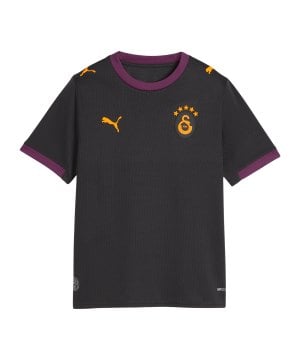 puma-gala-replica-trikot-away-26-27-kids-grau-f05-785016-fan-shop_front.png