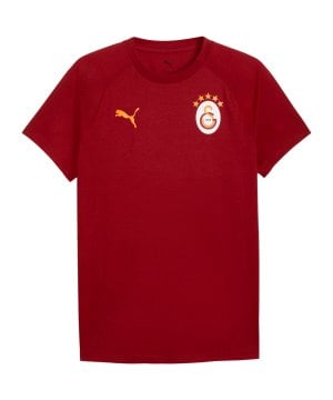 puma-galatasaray-evostripe-t-shirt-rot-f01-786825-fan-shop_front.png