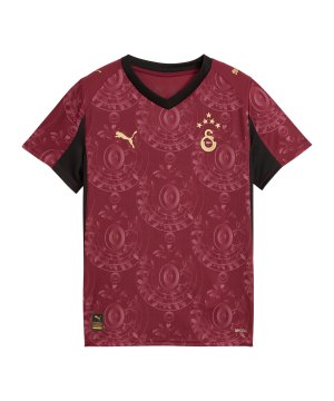 puma-galatasaray-istanbul-trikot-3rd-25-26-rot-f03-949102-fan-shop_front.png