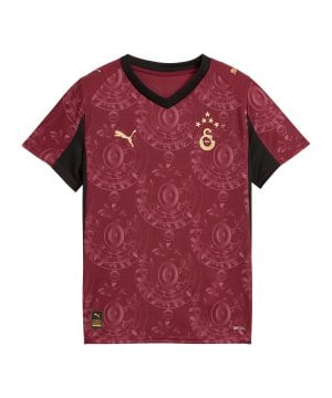 puma-galatasaray-trikot-3rd-25-26-kids-rot-f03-779820-fan-shop_front.png