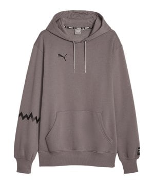 puma-hoops-team-hoody-grau-f02-676648-indoor_front.png