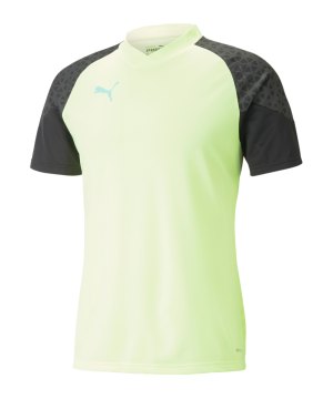 puma-individualcup-trainingsshirt-gelb-f51-658289-fussballtextilien_front.png