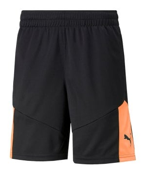 puma-individualfinal-short-kids-schwarz-f45-657953-fussballtextilien_front.png