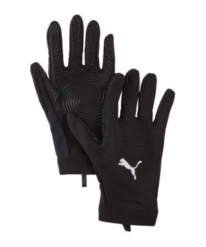 puma-individualwinterized-spielerhandschuhe-f01-041873-equipment_front.png