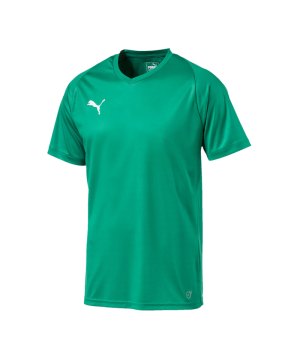puma-liga-core-trikot-kurzarm-f05-mannschaft-verein-teamsport-ausstattung-703509.png