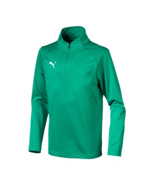 puma-liga-training-1-4-top-zip-sweatshirt-kids-kinder-teamsport-mannschaft-f05-655646.png