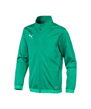 puma-liga-training-jacket-trainingsjacke-kids-f05-fussball-spieler-teamsport-mannschaft-verein-655688.png