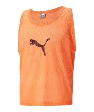 puma-markierungshemd-rot-f45-657251-equipment_front.png