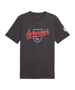 puma-oefb-oesterreich-ftblculture-t-shirt-grau-f25-783898-fan-shop_front.png