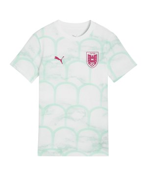puma-oefb-oesterreich-ftblculture-t-shirt-kids-f18-783902-fan-shop_front.png