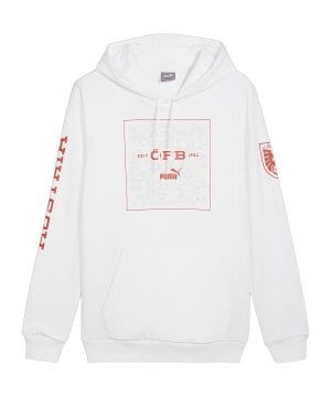 puma-oesterreich-ftbl-icons-hoody-em-2024-weiss-f09-774195-fan-shop_front.png