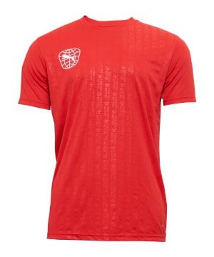 puma-re-fibre-trikot-rot-f01-705888-fussballtextilien_front.png