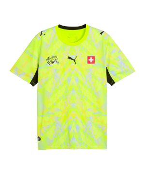 puma-sfv-replica-torwarttrikot-gelb-f89-783229-fan-shop_front.png