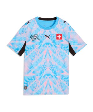 puma-sfv-replica-torwarttrikot-kids-blau-f86-783230-fan-shop_front.png