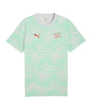 puma-sfv-schweiz-ftblculture-t-shirt-blau-f19-784207-fan-shop_front.png
