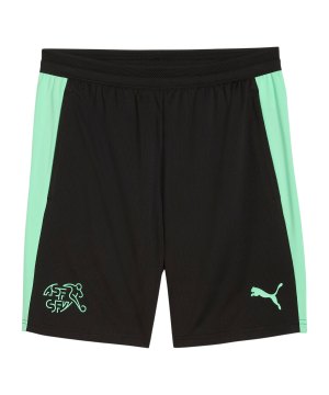 puma-sfv-schweiz-training-short-schwarz-f10-784176-fan-shop_front.png