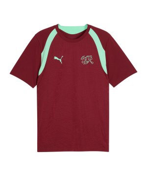 puma-sfv-schweiz-trainingshirt-rot-f09-784167-fan-shop_front.png