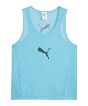 puma-teamadditions-bib-blau-f30-660717-teamsport_front.png