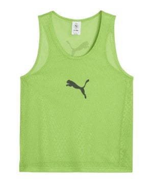 puma-teamadditions-bib-gruen-f48-660717-teamsport_front.png