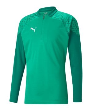 puma-teamcup-halfzip-sweatshirt-gruen-f05-657982-teamsport_front.png