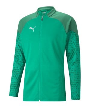 puma-teamcup-trainingsjacke-gruen-f05-657983-teamsport_front.png