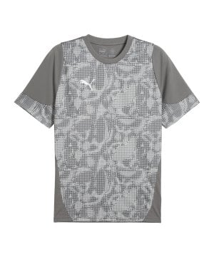 puma-teamcup-trainingsshirt-grau-f13-659167-teamsport_front.png
