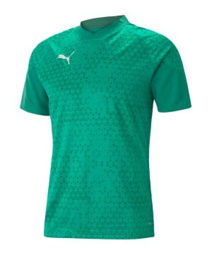 puma-teamcup-trainingsshirt-gruen-f05-657984-teamsport_front.png
